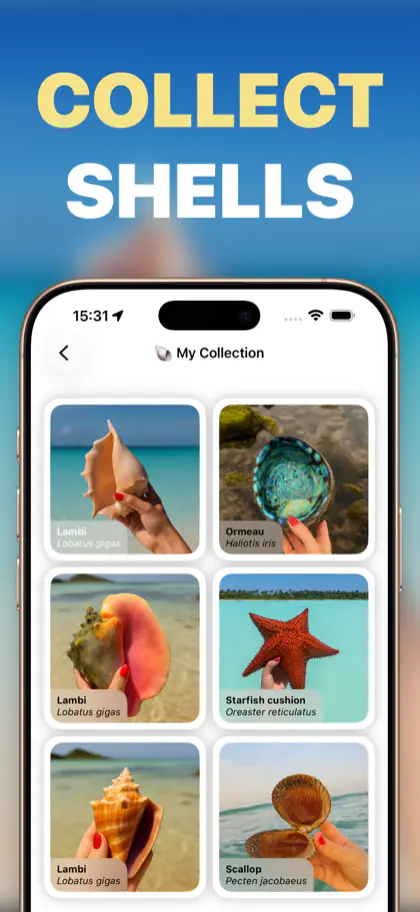 Shellie screenshot 3