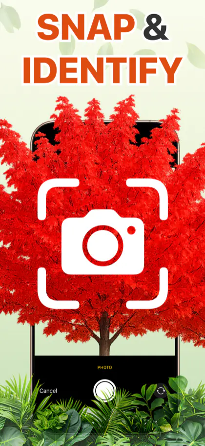 Tree Identifier screenshot 2